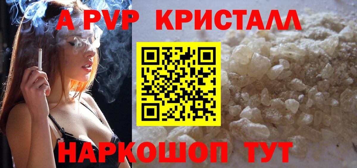 Альфа ПВП СК Хасавюрт