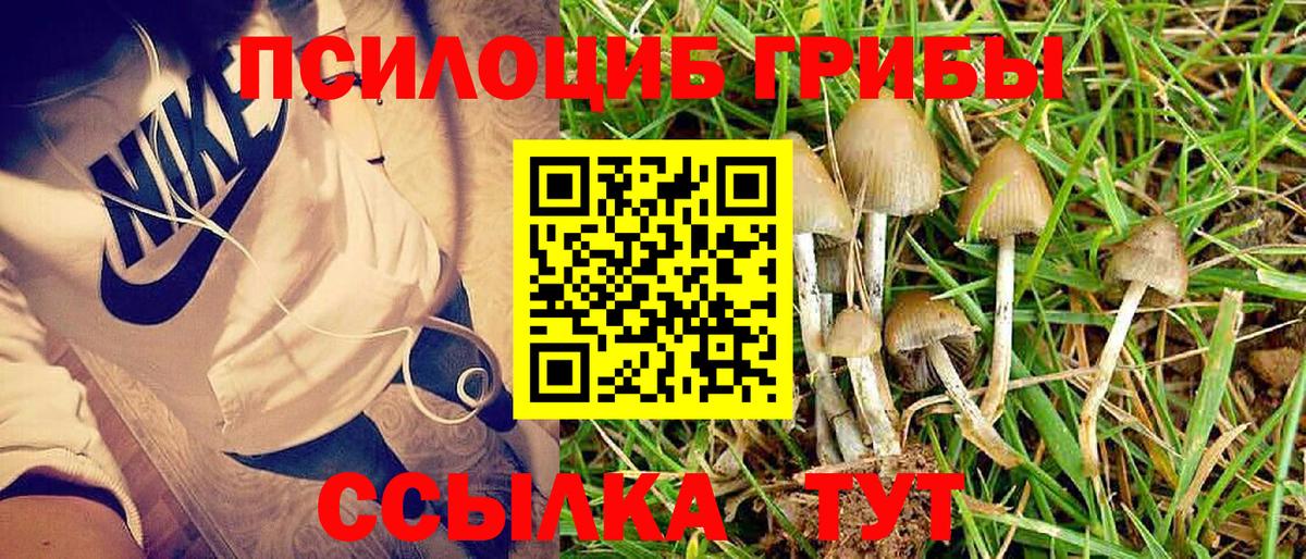 Галлюциногенные грибы Magic Shrooms Хасавюрт