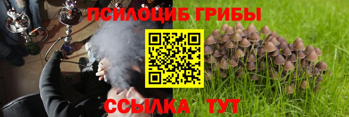 Галлюциногенные грибы прущие грибы  Галлюциногенные грибы прущие грибы  Вход с VPN  Хасавюрт 